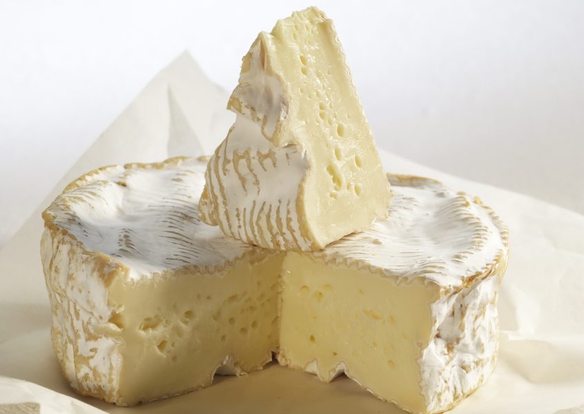 Camembert · lait de vache